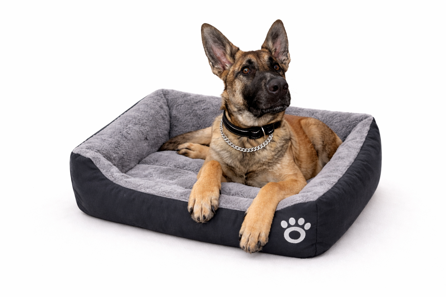 Berger malinois détendu dans un panier chien noir et gris MyCocoonPet, lit moelleux et rassurant pour un confort optimal au quotidien.
